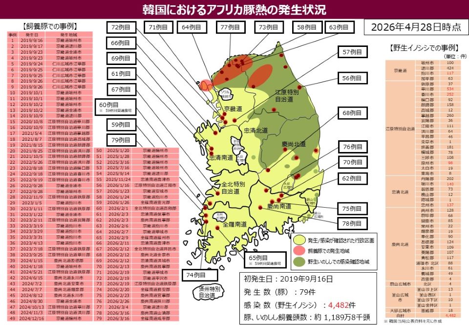 韓国におけるアフリカ豚熱の発生状況を示す地図。2026年4月28日時点で豚79例、野生イノシシ4,482頭の感染を記録