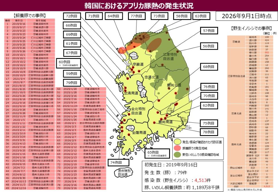 韓国におけるアフリカ豚熱の発生状況を示す地図。2026年9月1日時点で豚79例、野生イノシシ4,513頭の感染を色分けで表示