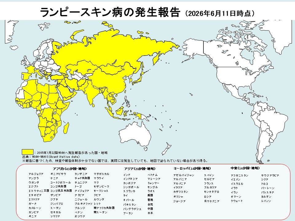 2026年6月11日時点のランピースキン病の世界発生状況を示す世界地図。アフリカ・アジア・ヨーロッパ・中東の計91か国・地域で発生報告がある。
