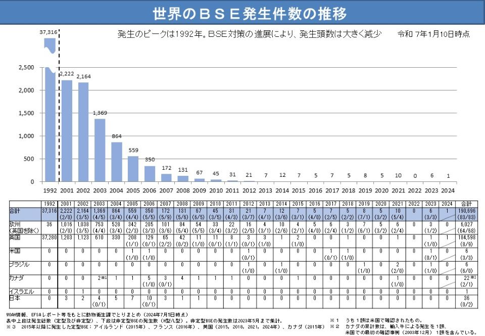 250110_BSEグラフ
