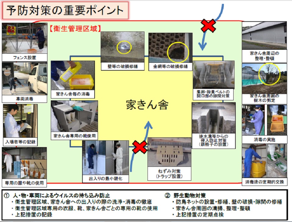 発生予防対策の重要ポイント