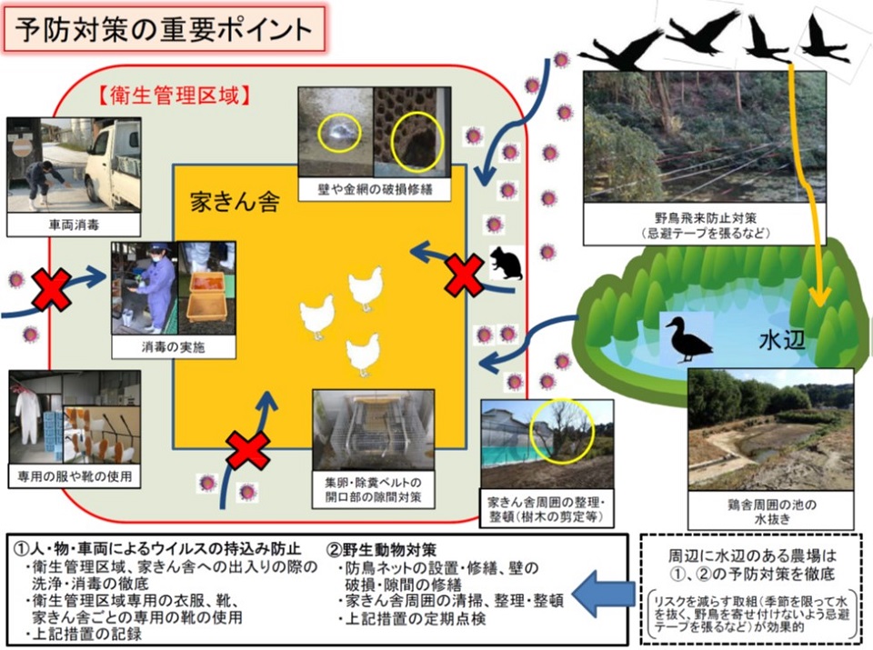 発生予防対策の重要ポイント（水辺入り）