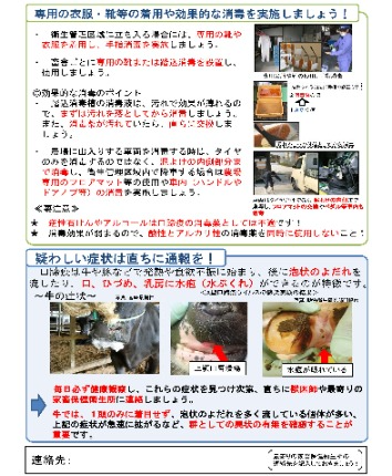 口蹄疫ポスター（牛用）裏面