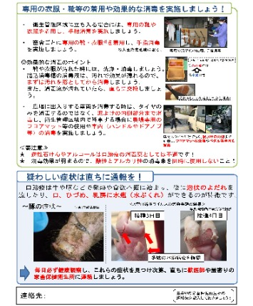 口蹄疫ポスター（豚用）裏面