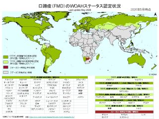口蹄疫(FMD)のWOAHステータス認定状況を示す世界地図。2026年6月時点のデータで、各国・地域を4つのカテゴリーで色分けしている。濃い緑色は『ワクチン非接種FMD清浄地域』で、北米、南米の大部分、ヨーロッパ、オーストラリア、ニュージーランド、日本などが該当。薄い緑色は『ワクチン接種FMD清浄地域』で、アルゼンチンやウルグアイなどが該当。濃い赤色は『ステータス一時停止中の地域』で、アフリカ南部の一部が該当。グレーは『ステータスを有さない地域』で、アフリカ、中東、中央アジア、東南アジアの多くの国が該当。地図の下部には、各カテゴリーに該当する国名が表形式で詳細に記載されている