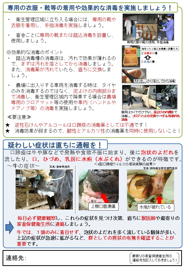 口蹄疫(牛)について、消毒の実施方法や、疑わしい症状の写真を掲載している。