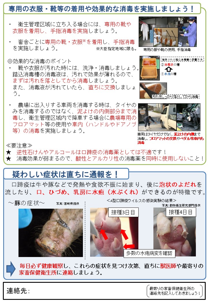 口蹄疫(豚)について、消毒の実施方法や、疑わしい症状の写真を掲載している。