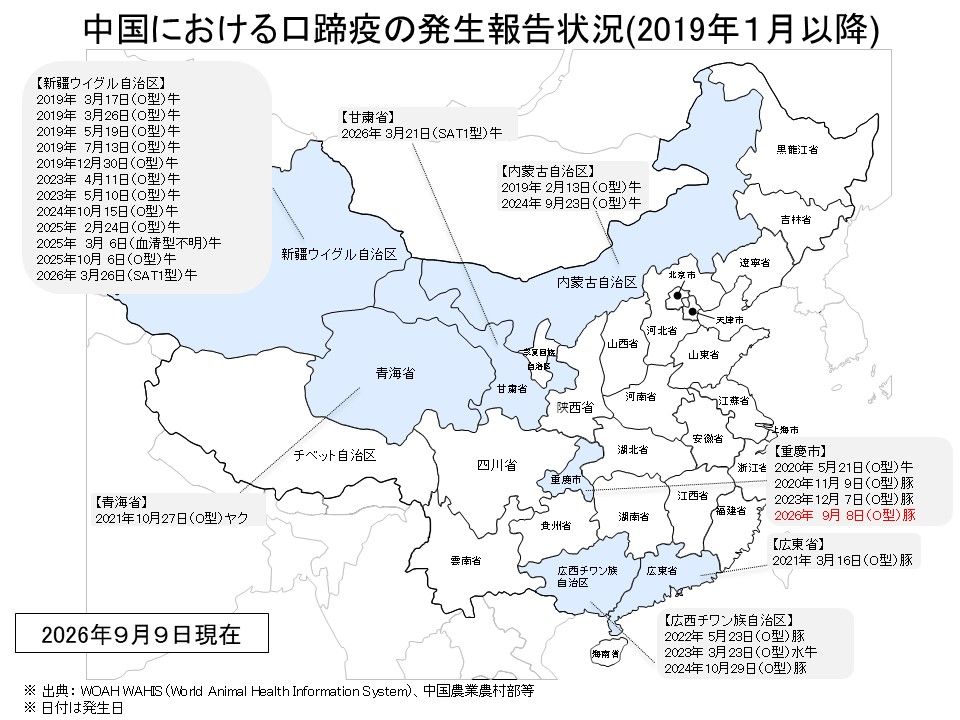 中国における口蹄疫の発生報告状況を示した地図。2019年1月以降、2026年9月9日現在。