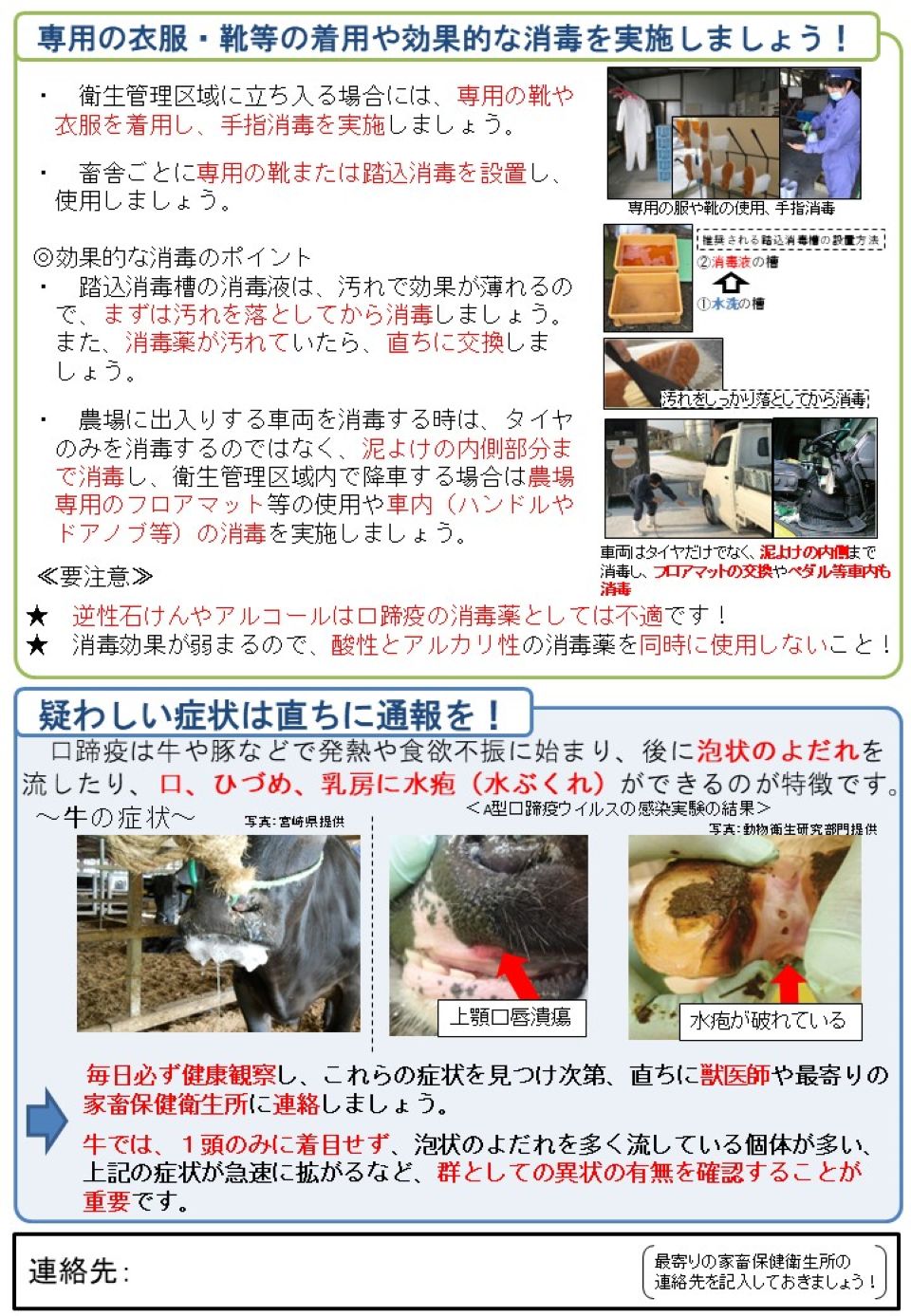 口蹄疫(牛)について、消毒の実施方法や、疑わしい症状の写真を掲載している。