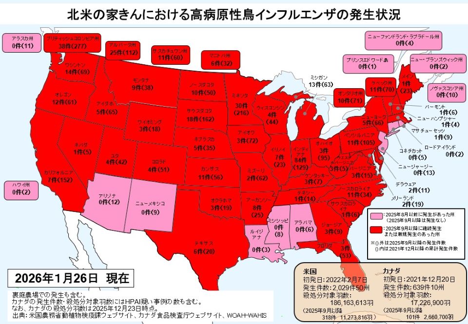 北米の家きんにおける高病原性鳥インフルエンザの発生状況（2026年1月26日時点）