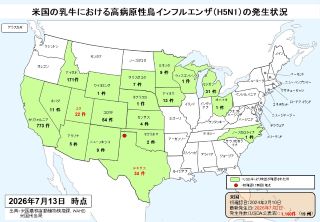 米国における乳牛の高病原性鳥インフルエンザH5N1の州別発生件数を示す地図（2026年7月13日時点）