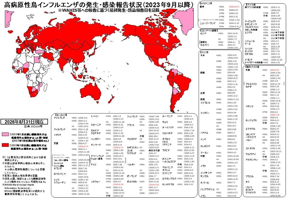 2023年9月以降の世界における高病原性鳥インフルエンザの発生・感染報告状況を示す世界地図(2026年8月31日現在)