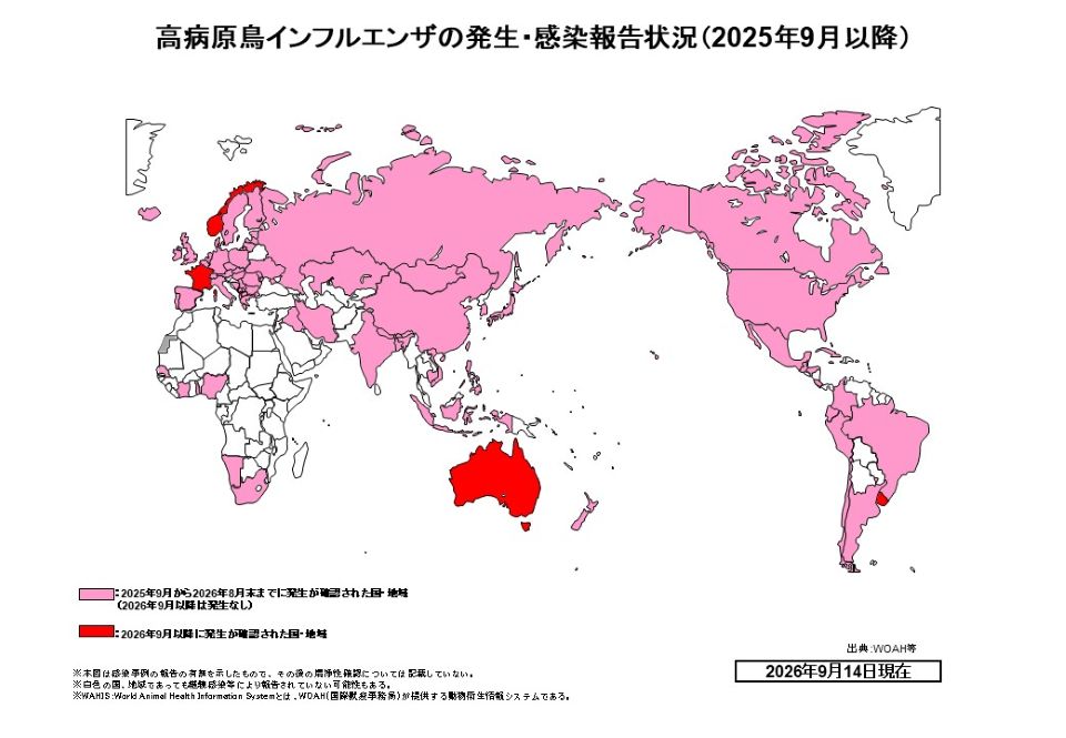 高病原性鳥インフルエンザの世界発生・感染報告状況を示した世界地図（2025年9月以降、2026年9月14日現在）