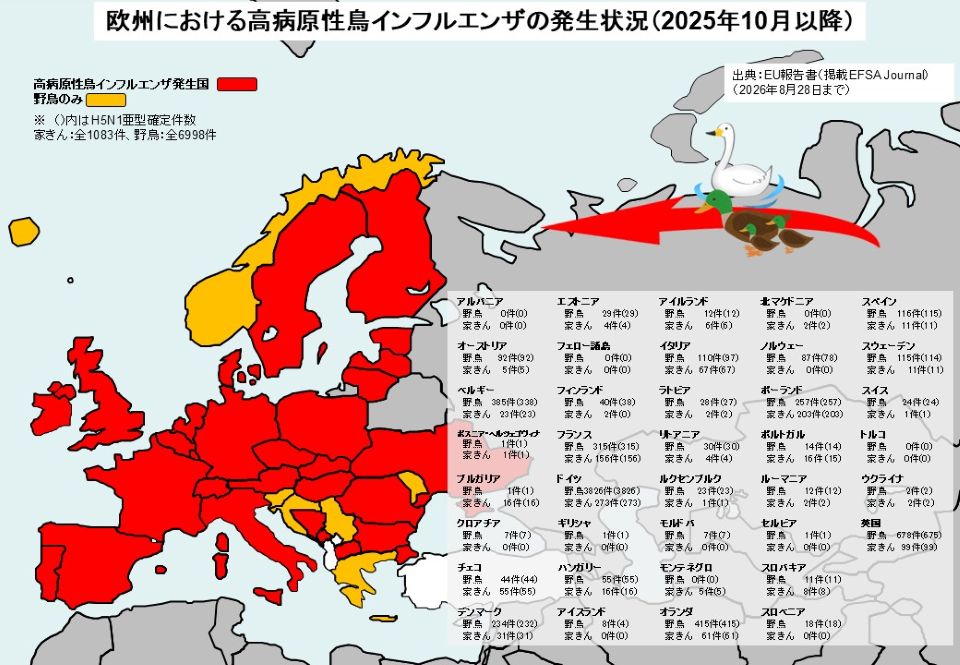 2025年10月以降の欧州における高病原性鳥インフルエンザ（HPAI）の発生状況を国別に色分けした地図と、各国の発生件数一覧表