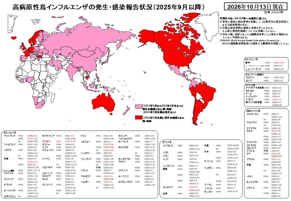 高病原性鳥インフルエンザの発生・感染報告状況（2025年9月以降、2026年10月13日現在）を示す世界地図に、国・地域別の最新発生日とウイルス型を記載した詳細版。