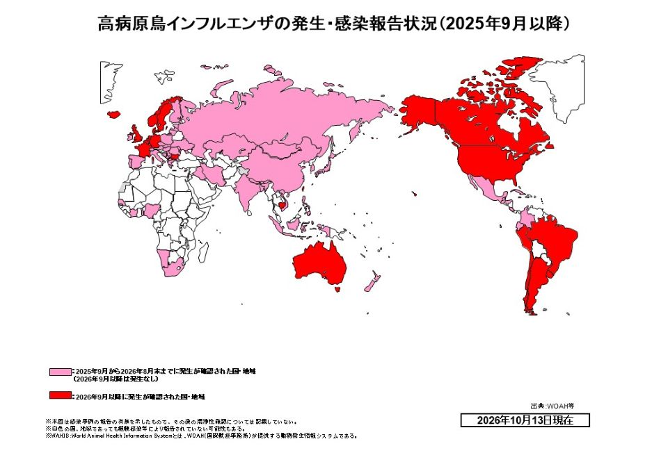 2025年9月以降における高病原性鳥インフルエンザの発生・感染報告状況を示した世界地図（2026年10月13日現在、文字なし版）。