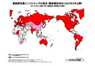 世界HPAI発生状況（文字なし、地図のみ）