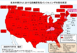 250707北米における高病原性鳥インフルエンザの発生状況