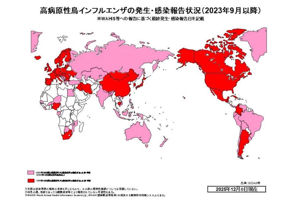 251208世界鳥フル発生状況　文字無し