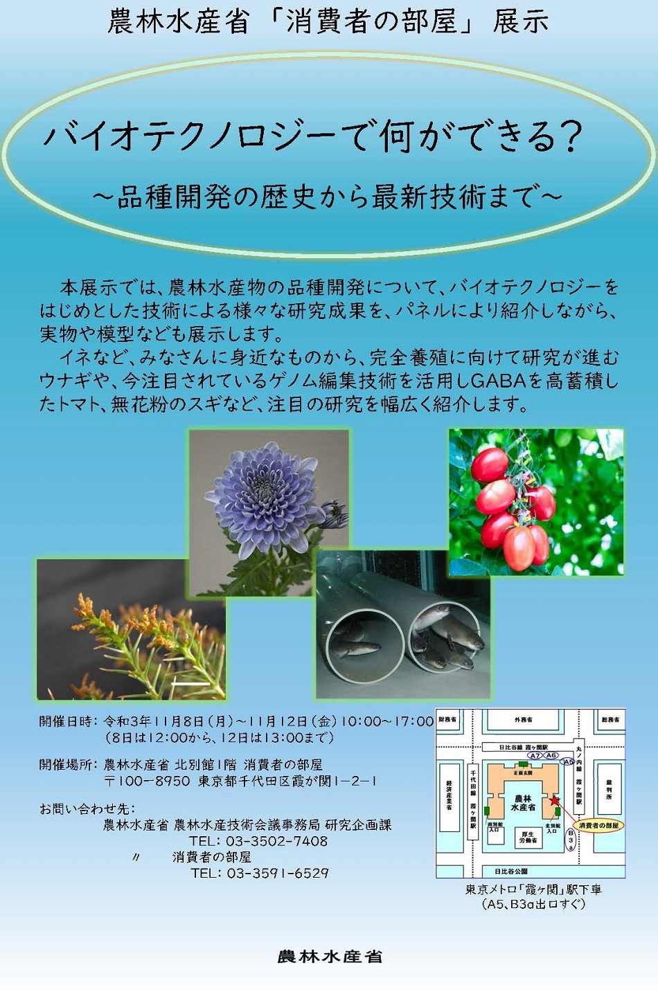 展示PRチラシ