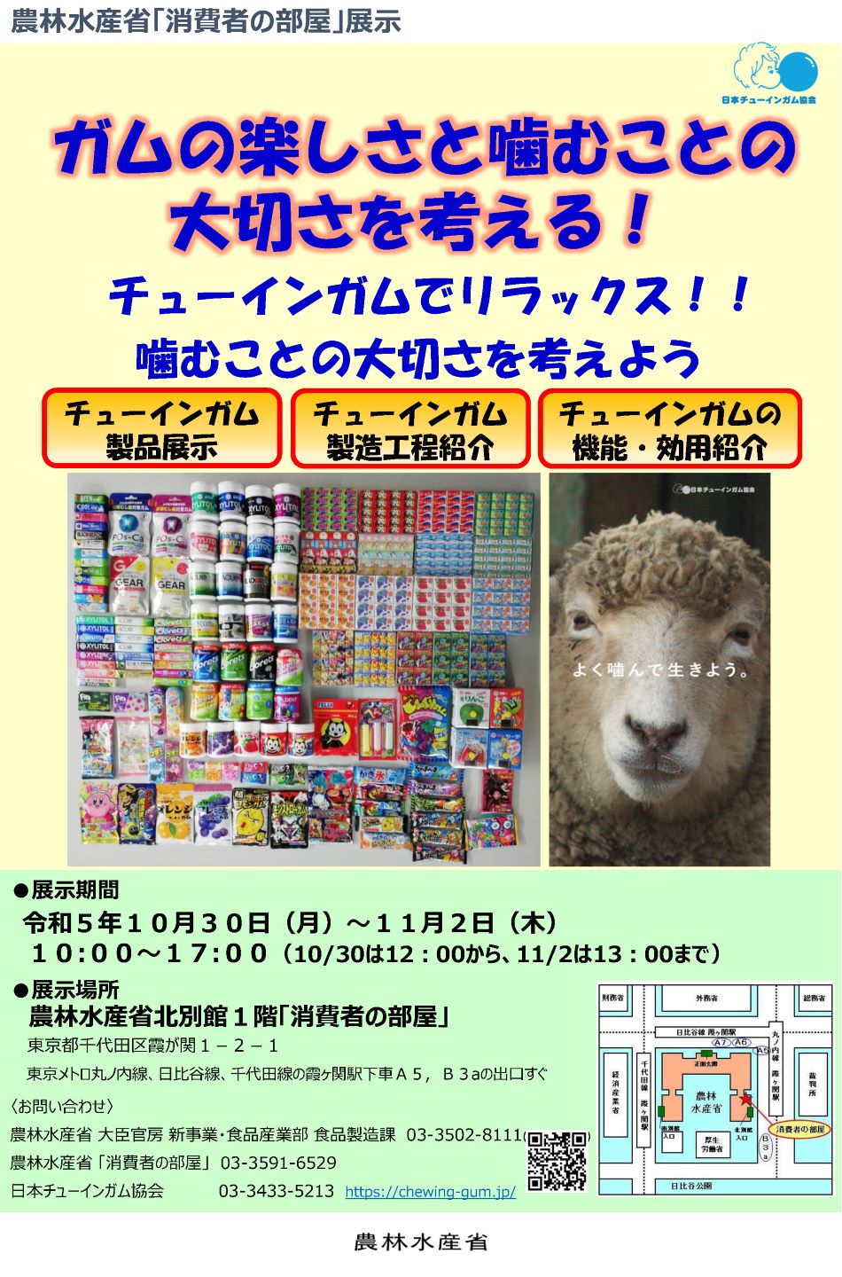 展示内容のチラシ