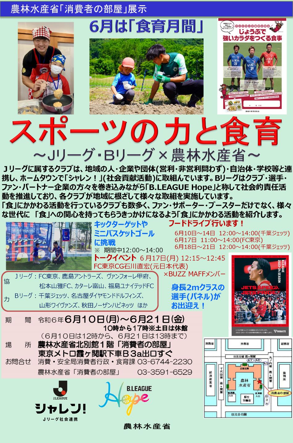 展示内容のチラシ