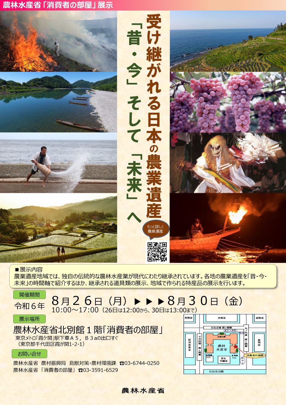 展示内容のチラシ