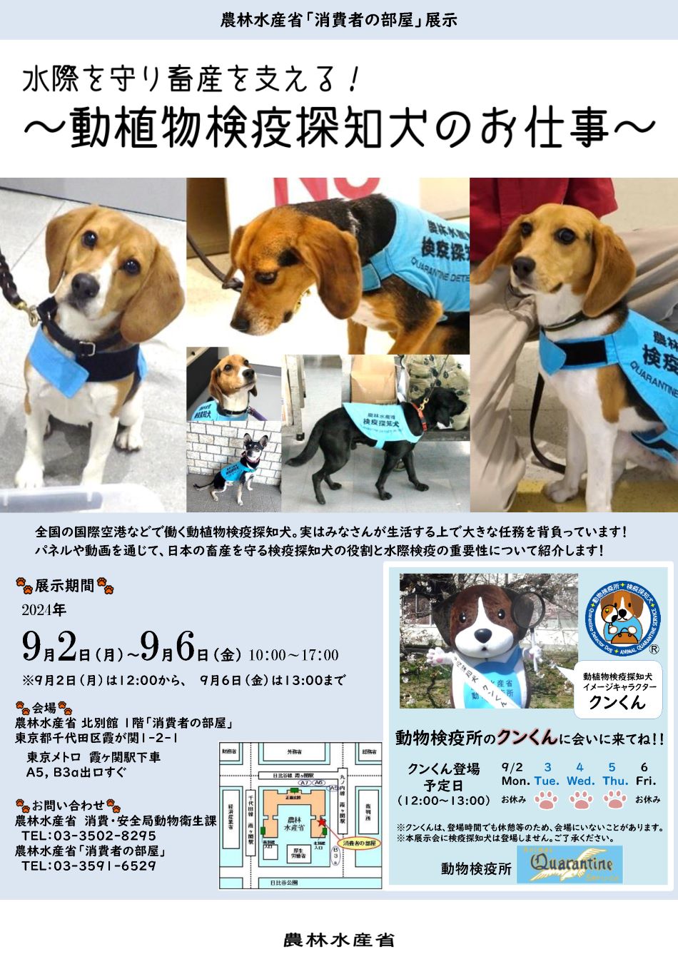 展示内容のチラシ