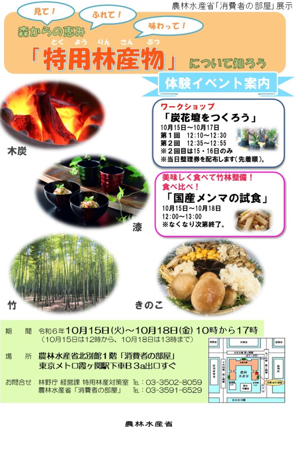 展示内容のチラシ