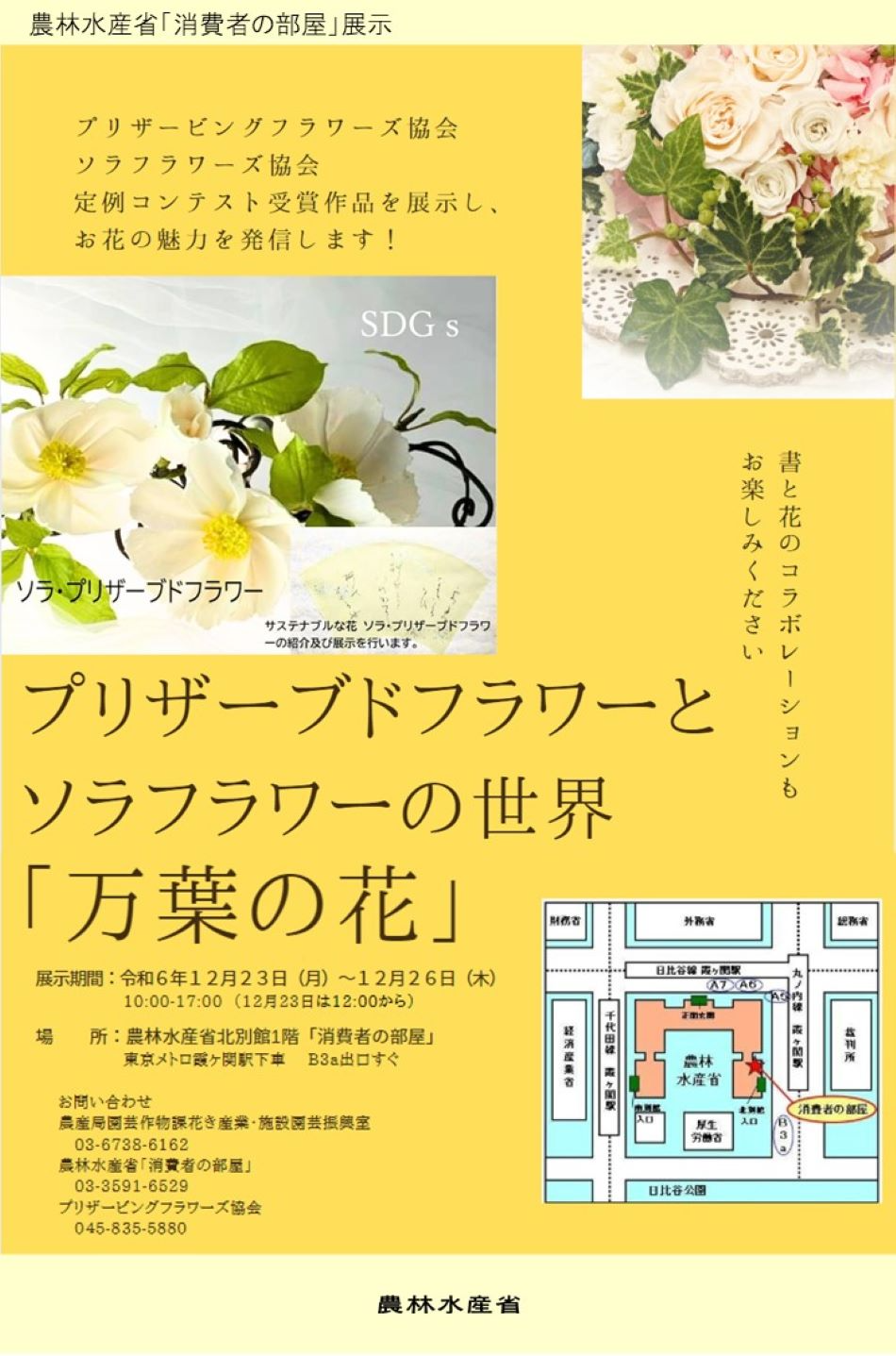 展示内容のチラシ