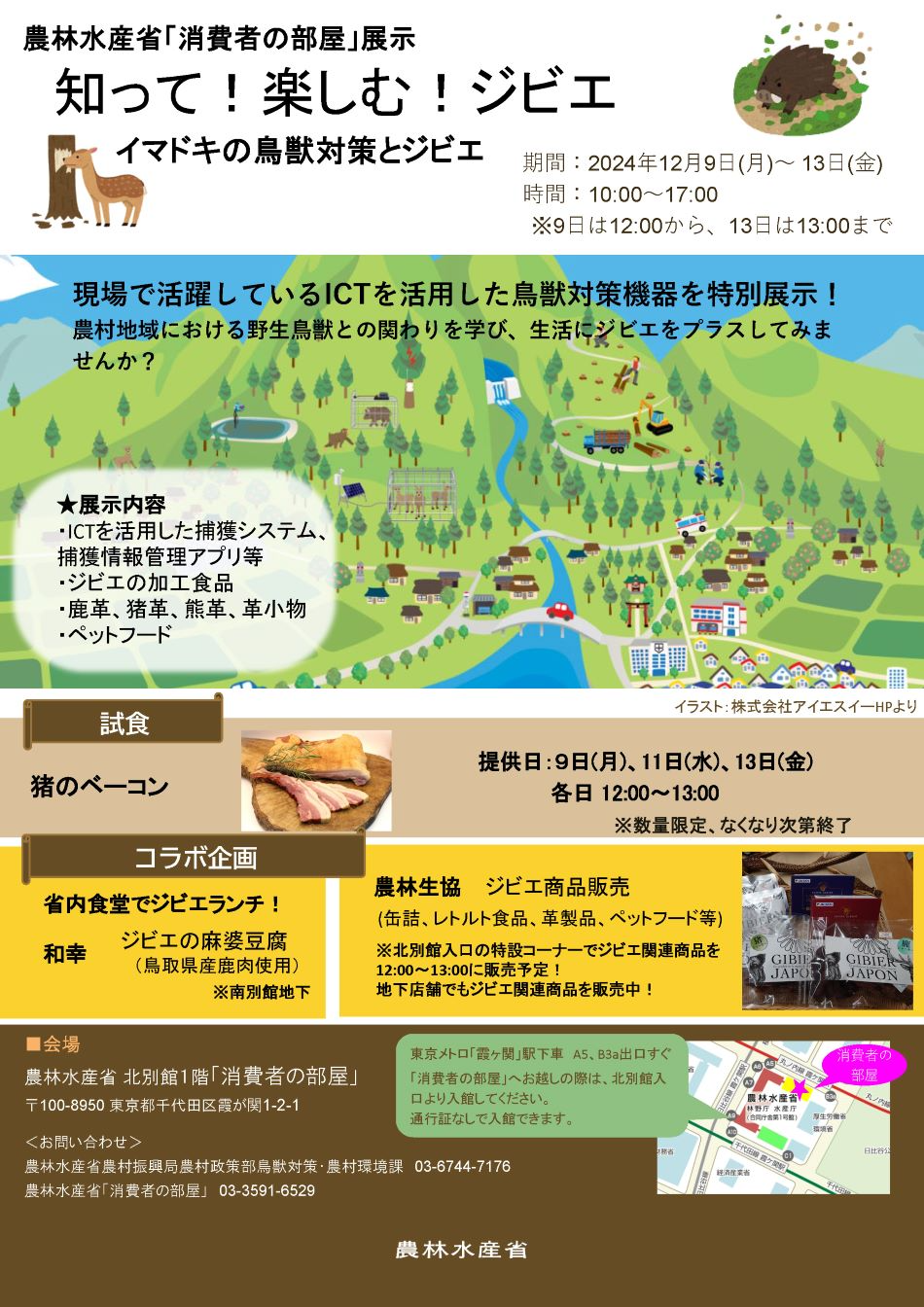 展示内容のチラシ