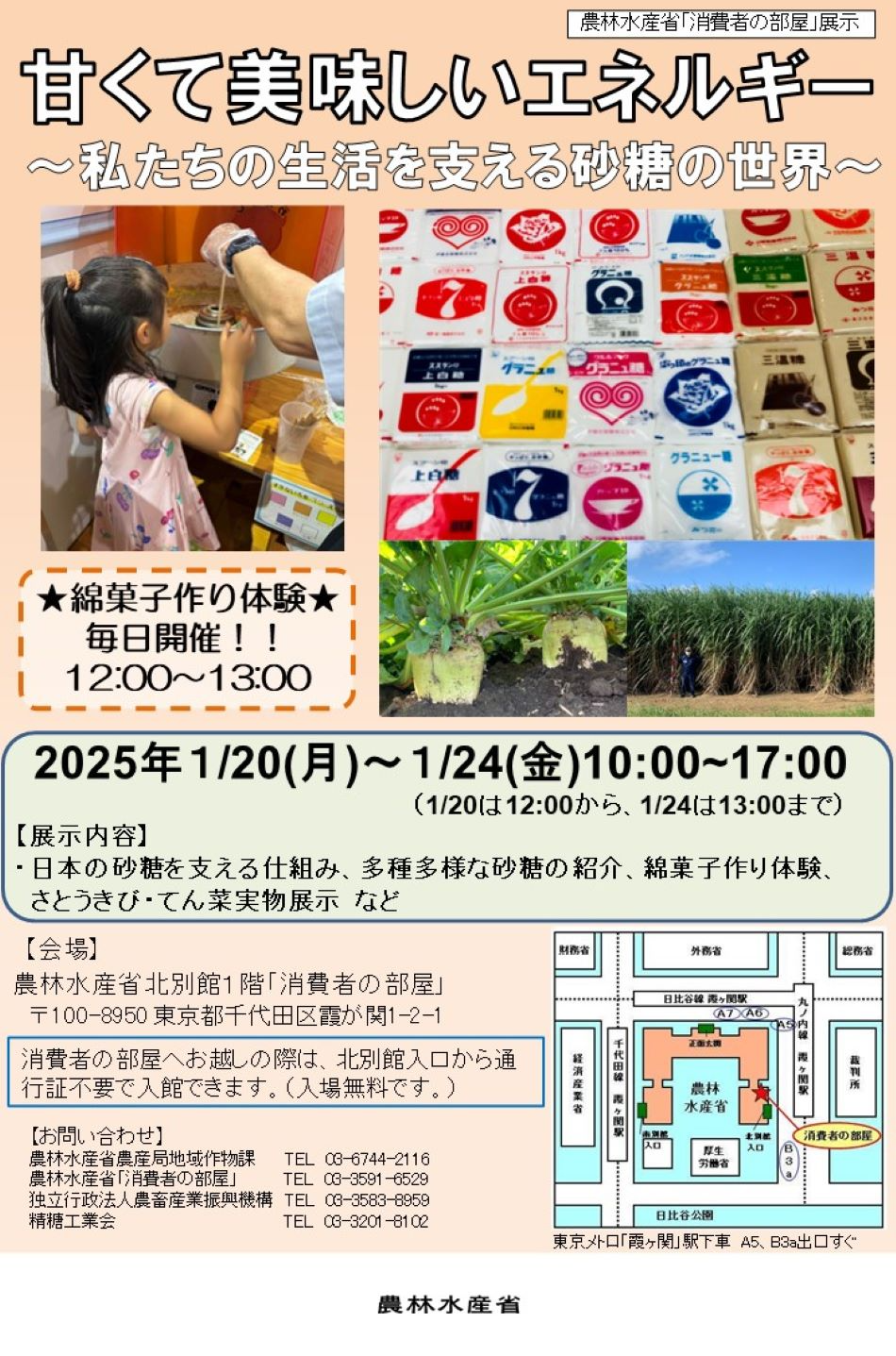展示内容のチラシ