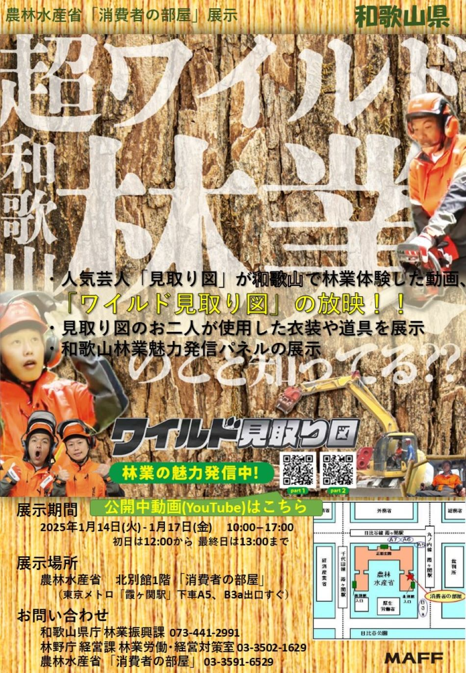 展示内容のチラシ
