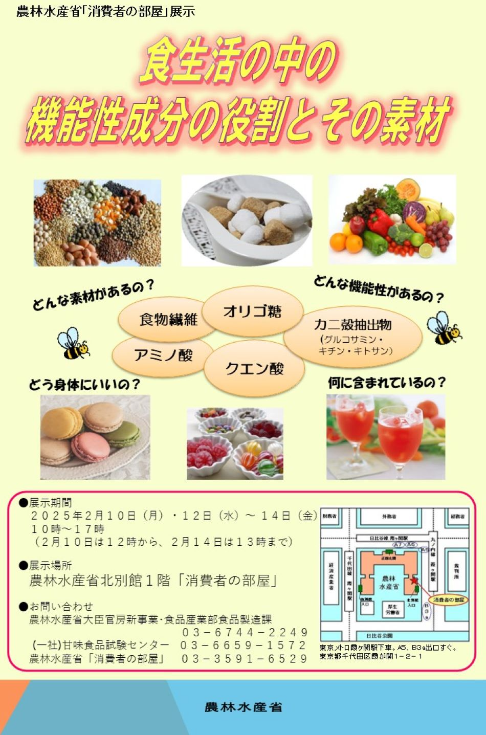 展示内容のチラシ