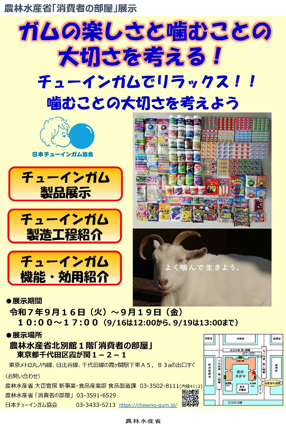 2509「ガムの楽しさと噛むことの大切さを考える！」 ～チューインガムでリラックス！！噛むことの大切さを考えよう～