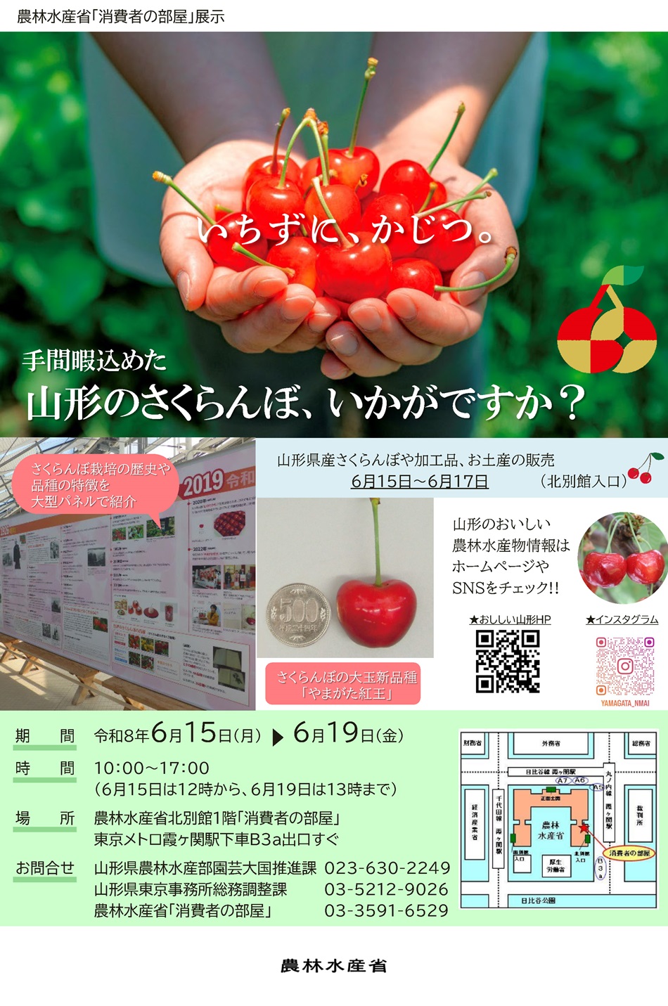 山形県のさくらんぼ栽培：農林水産省