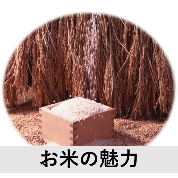 お米の魅力アイコン