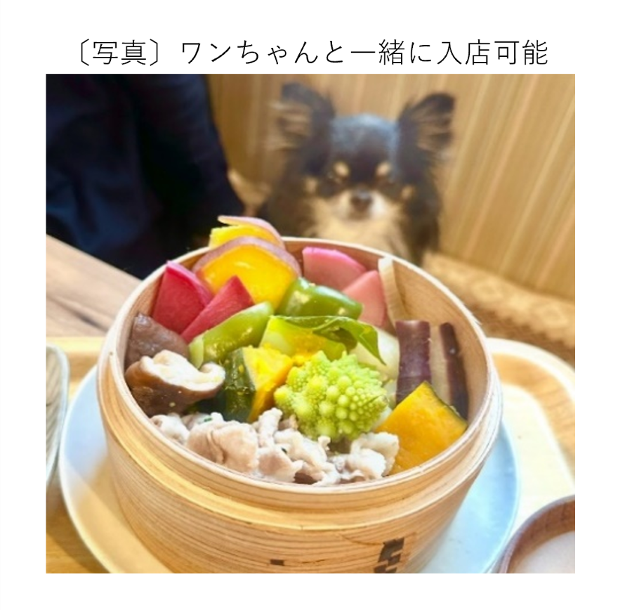 ワンちゃんと一緒に入店可能