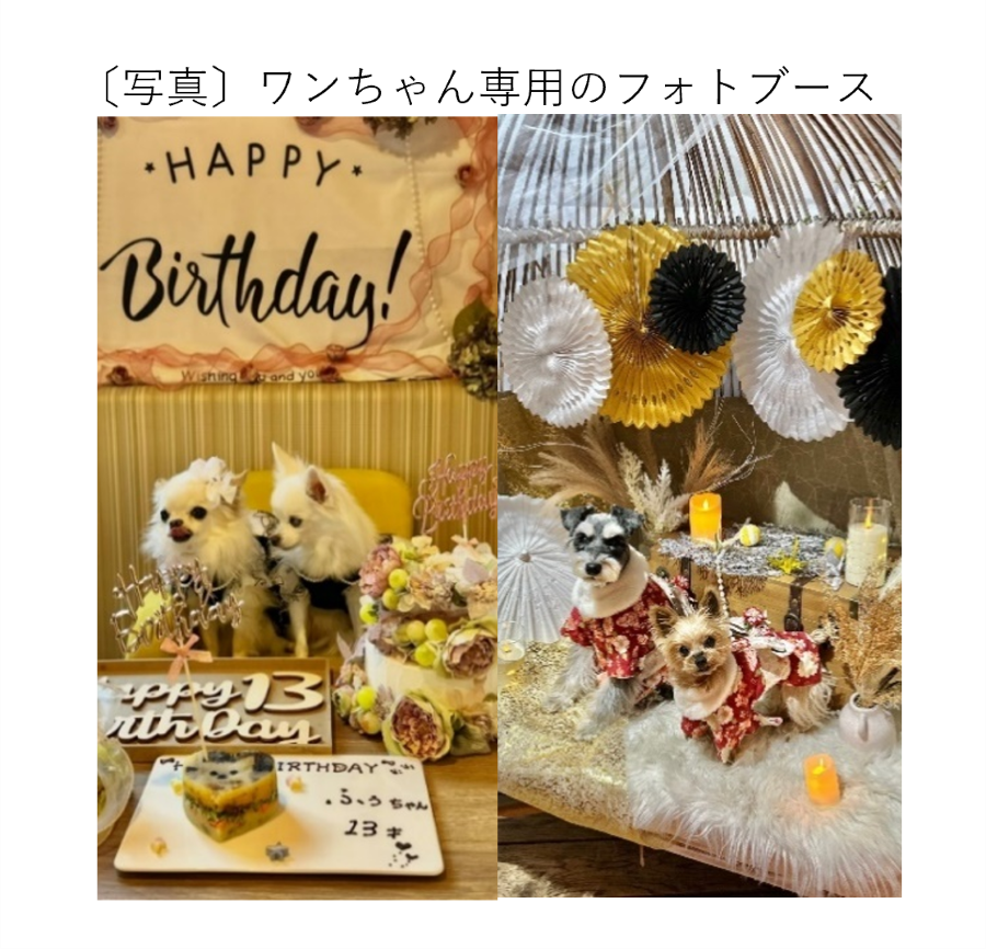 ワンちゃん専用のフォトブース