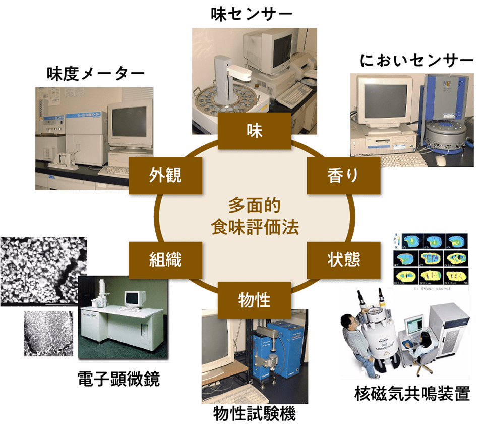 各種の機器を用いる米の食味の多面的理化学測定の例