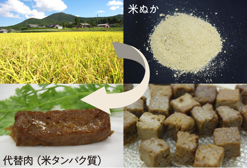 代替肉の開発が持続的な稲作に貢献