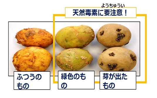 こんなじゃがいもにちゅうい