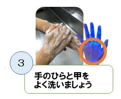 手のひらと甲をよく洗いましょう