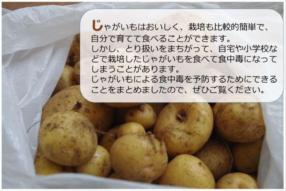 Webページの紹介です
