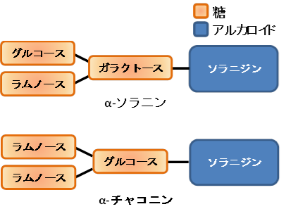 ソラニンとチャコニンの化学構造