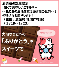 消費者の部屋展示  「甘くて美味しいエネルギー  ～私たちの生活を支える砂糖の世界～」の様子をお届けします！ （主催：農産局 地域作物課） （１/19～1/23）