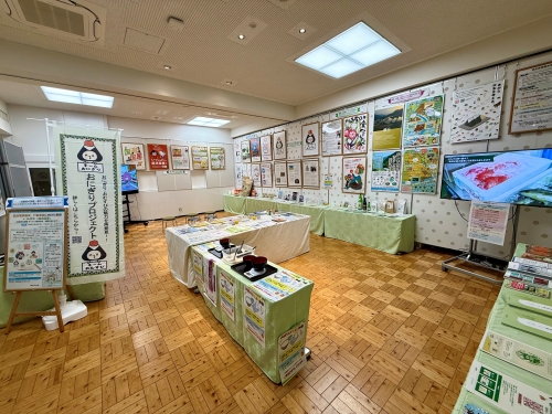 展示の様子