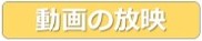 動画の放映