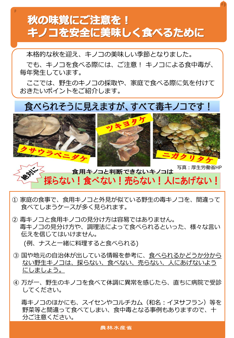 秋の味覚にご注意を!キノコを安全に美味しく食べるために