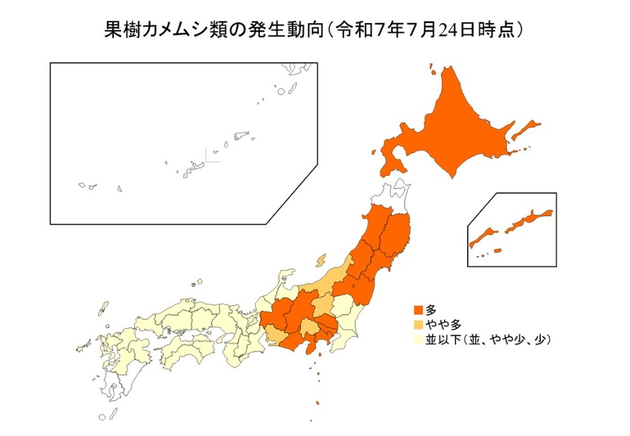 果樹カメムシ類の発生動向